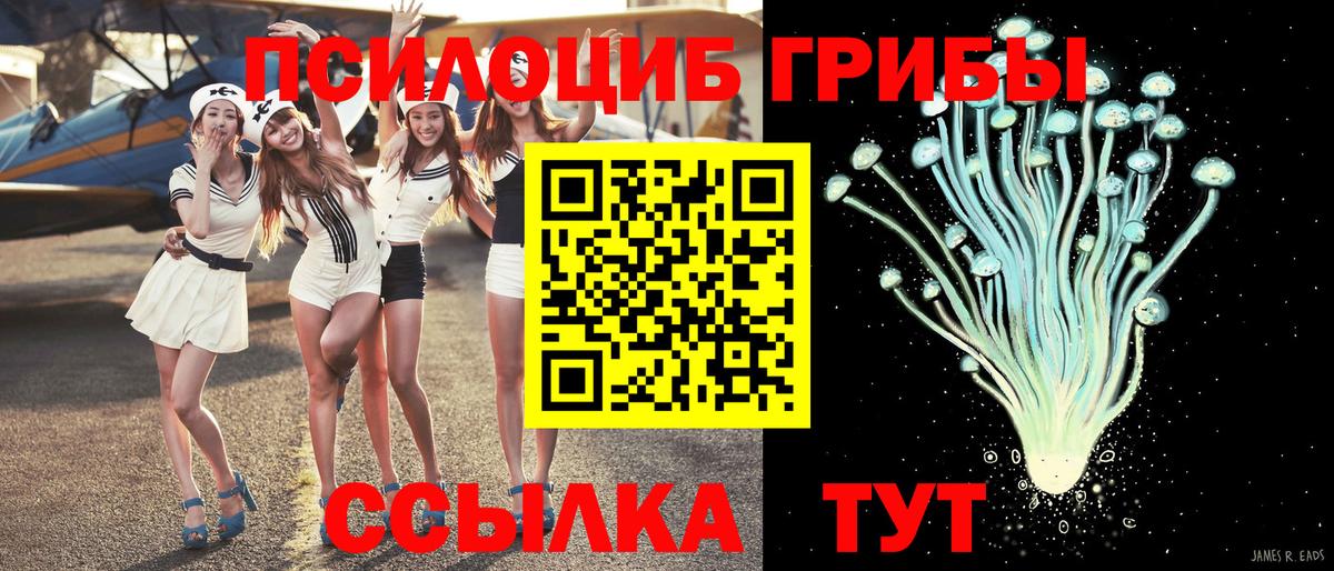 Йошкар-Ола  Псилоцибиновые грибы мицелий  Вход с VPN  Псилоцибиновые грибы мухоморы 