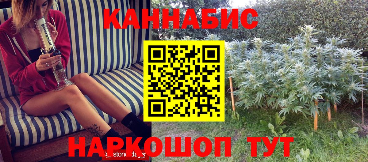 Бошки Шишки планчик  Марихуана Amnesia  Йошкар-Ола  Вход с VPN  Конопля конопля 